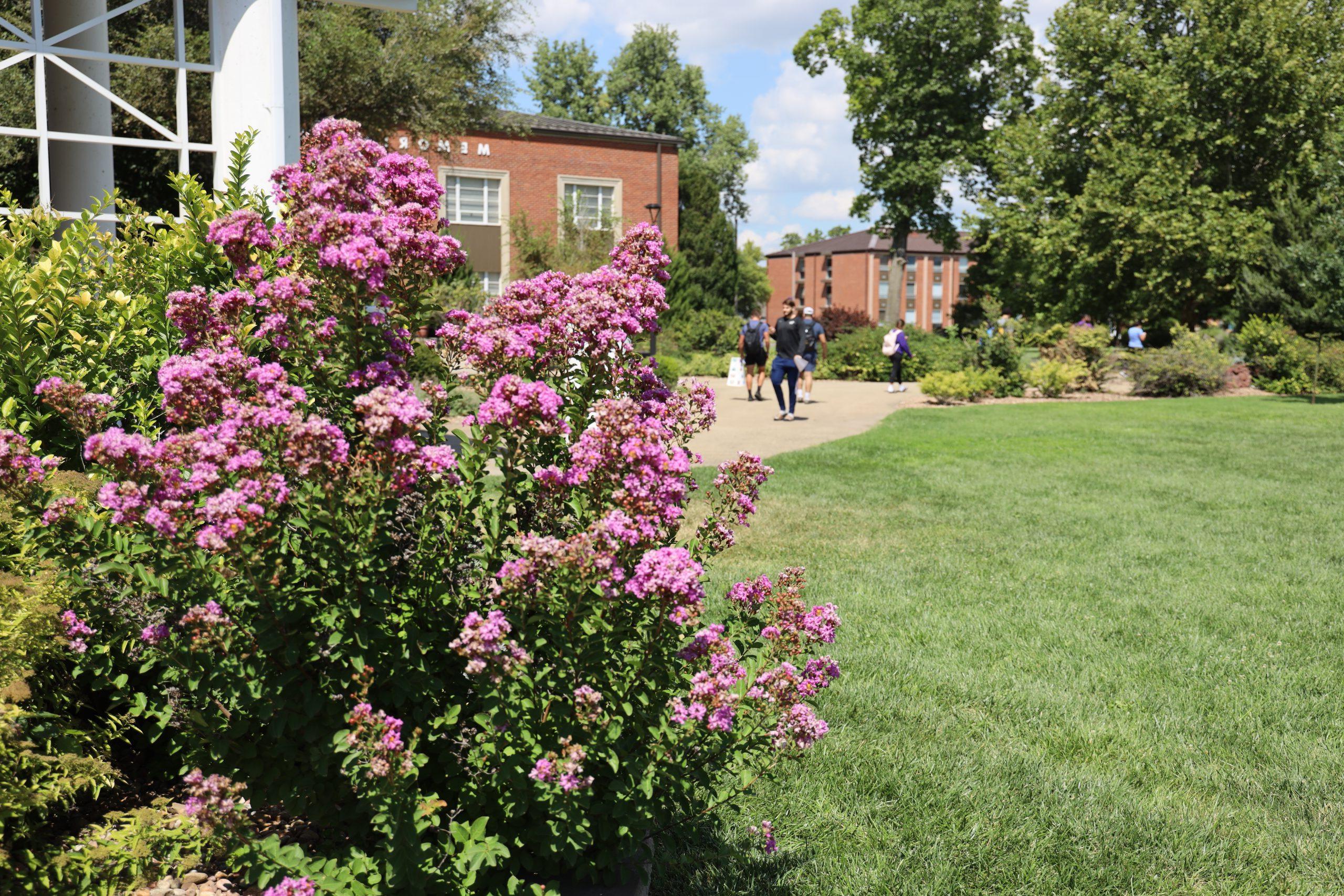 Flowers on campus